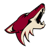 Arizona Coyotes